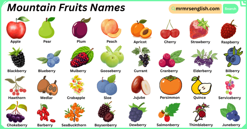 Mountain Fruits Names in English with Their Pictures