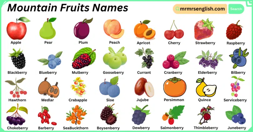 Mountain Fruits Names in English with Their Pictures
