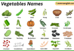 Pod Vegetables Names in English with Their Pictures