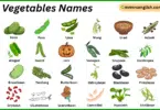 Pod Vegetables Names in English with Their Pictures