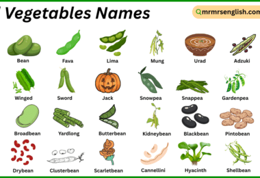 Pod Vegetables Names in English with Their Pictures