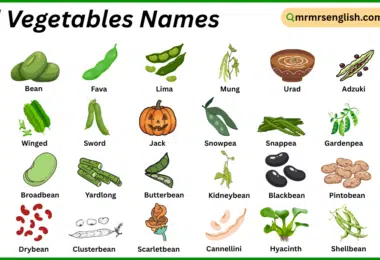 Pod Vegetables Names in English with Their Pictures