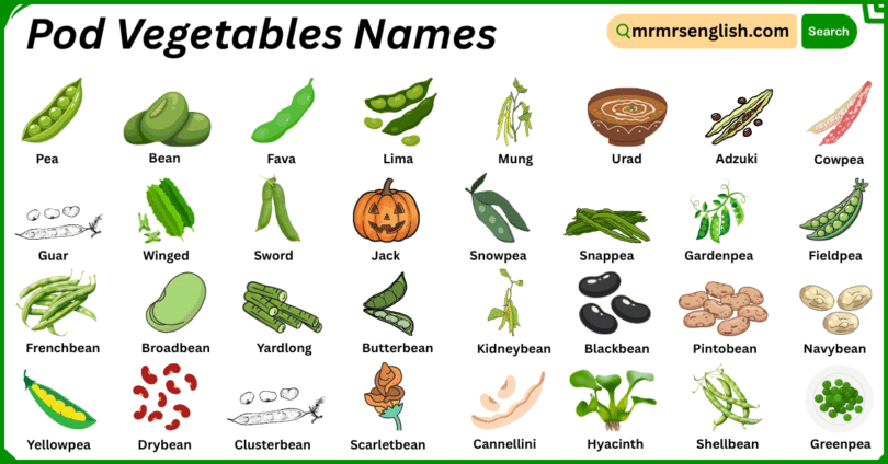 Pod Vegetables Names in English with Their Pictures
