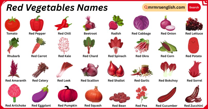 Red Vegetables Names in English with Their Pictures