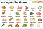 Rhizome Vegetables Names in English with Their Pictures