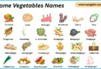Rhizome Vegetables Names in English with Their Pictures