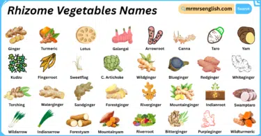 Rhizome Vegetables Names in English with Their Pictures