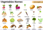 Root Vegetables Names in English with Their Pictures