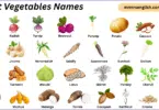 Root Vegetables Names in English with Their Pictures