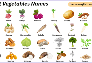 Root Vegetables Names in English with Their Pictures