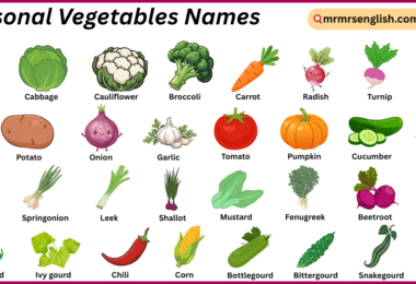 Seasonal Vegetables Names in English with Their Pictures