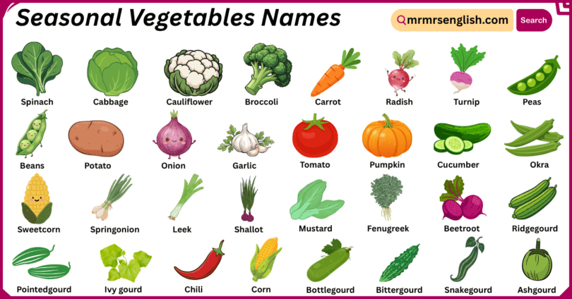 Seasonal Vegetables Names in English with Their Pictures