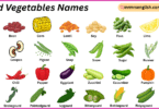 Seed Vegetables Names in English with Their Pictures