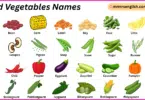 Seed Vegetables Names in English with Their Pictures