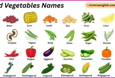 Seed Vegetables Names in English with Their Pictures