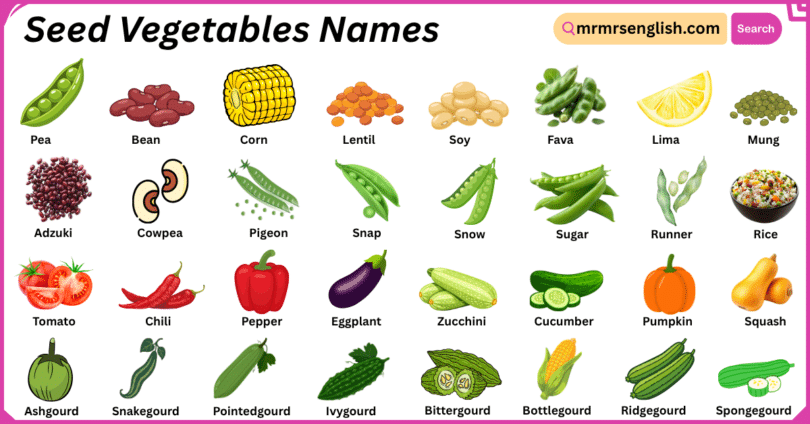 Seed Vegetables Names in English with Their Pictures