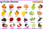 Spring Fruits Names in English with Their Pictures