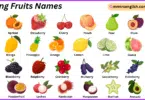 Spring Fruits Names in English with Their Pictures