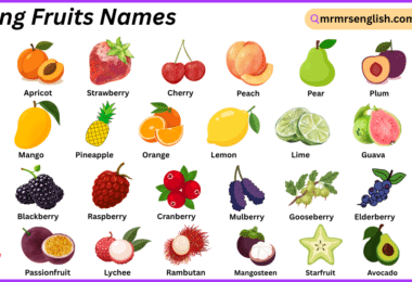 Spring Fruits Names in English with Their Pictures