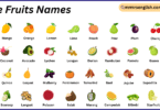 Tree Fruits Names in English with Their Pictures