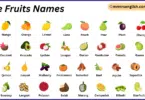 Tree Fruits Names in English with Their Pictures