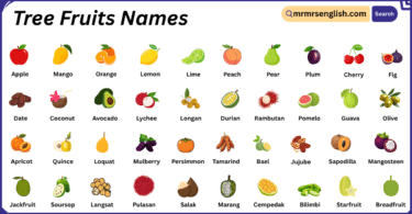 Tree Fruits Names in English with Their Pictures