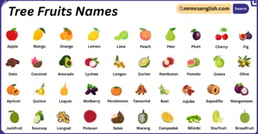 Tree Fruits Names in English with Their Pictures
