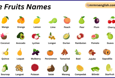 Tree Fruits Names in English with Their Pictures