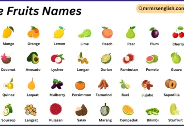 Tree Fruits Names in English with Their Pictures