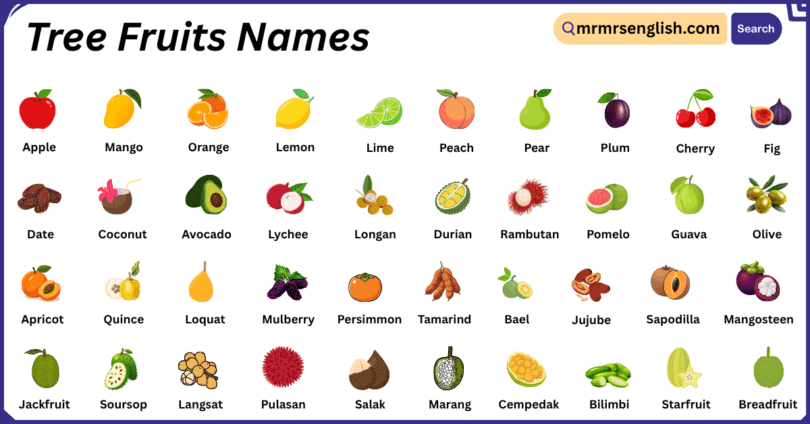 Tree Fruits Names in English with Their Pictures