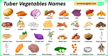 Tuber Vegetables Names in English with Their Pictures