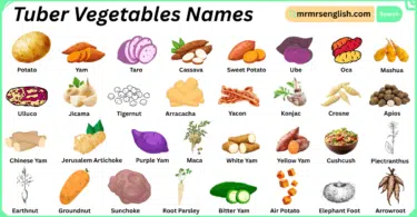 Tuber Vegetables Names in English with Their Pictures