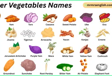Tuber Vegetables Names in English with Their Pictures