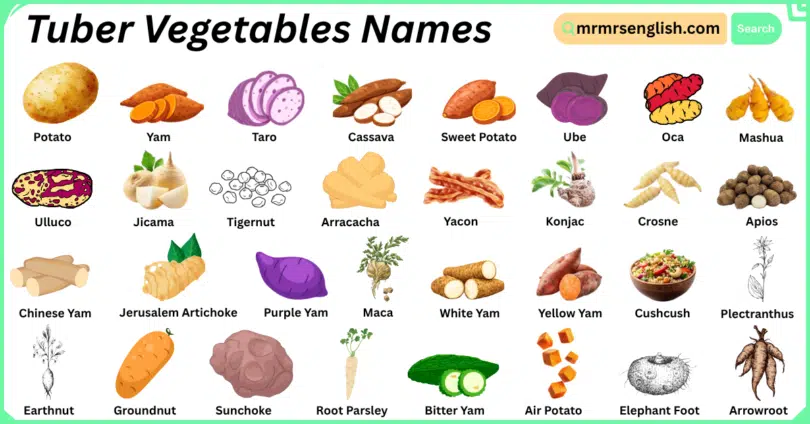 Tuber Vegetables Names in English with Their Pictures
