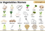 White Vegetables Names in English with Their Pictures