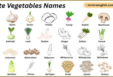 White Vegetables Names in English with Their Pictures