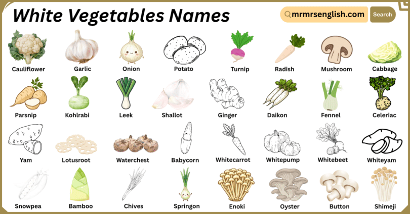 White Vegetables Names in English with Their Pictures