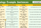 100 Analogy Example Sentences in English with Pictures