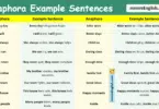 100 Anaphora Example Sentences in English with Pictures