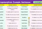 100 Anthropomorphism Example Sentences in English with Pictures