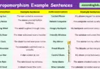 100 Anthropomorphism Example Sentences in English with Pictures
