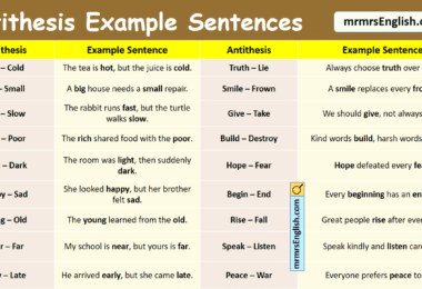 100 Antithesis Example Sentences in English with Pictures