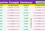100 Apposition Example Sentences in English with Pictures