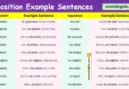 100 Apposition Example Sentences in English with Pictures