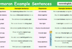 100 Oxymoron Example Sentences in English with Pictures