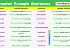 100 Oxymoron Example Sentences in English with Pictures