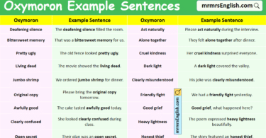 100 Oxymoron Example Sentences in English with Pictures