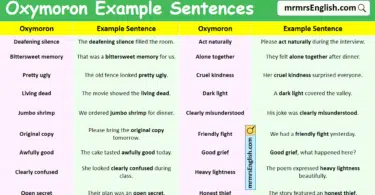 100 Oxymoron Example Sentences in English with Pictures