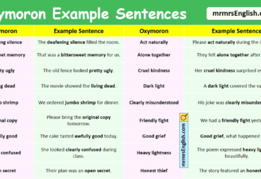 100 Oxymoron Example Sentences in English with Pictures