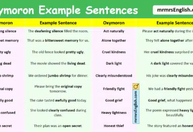 100 Oxymoron Example Sentences in English with Pictures